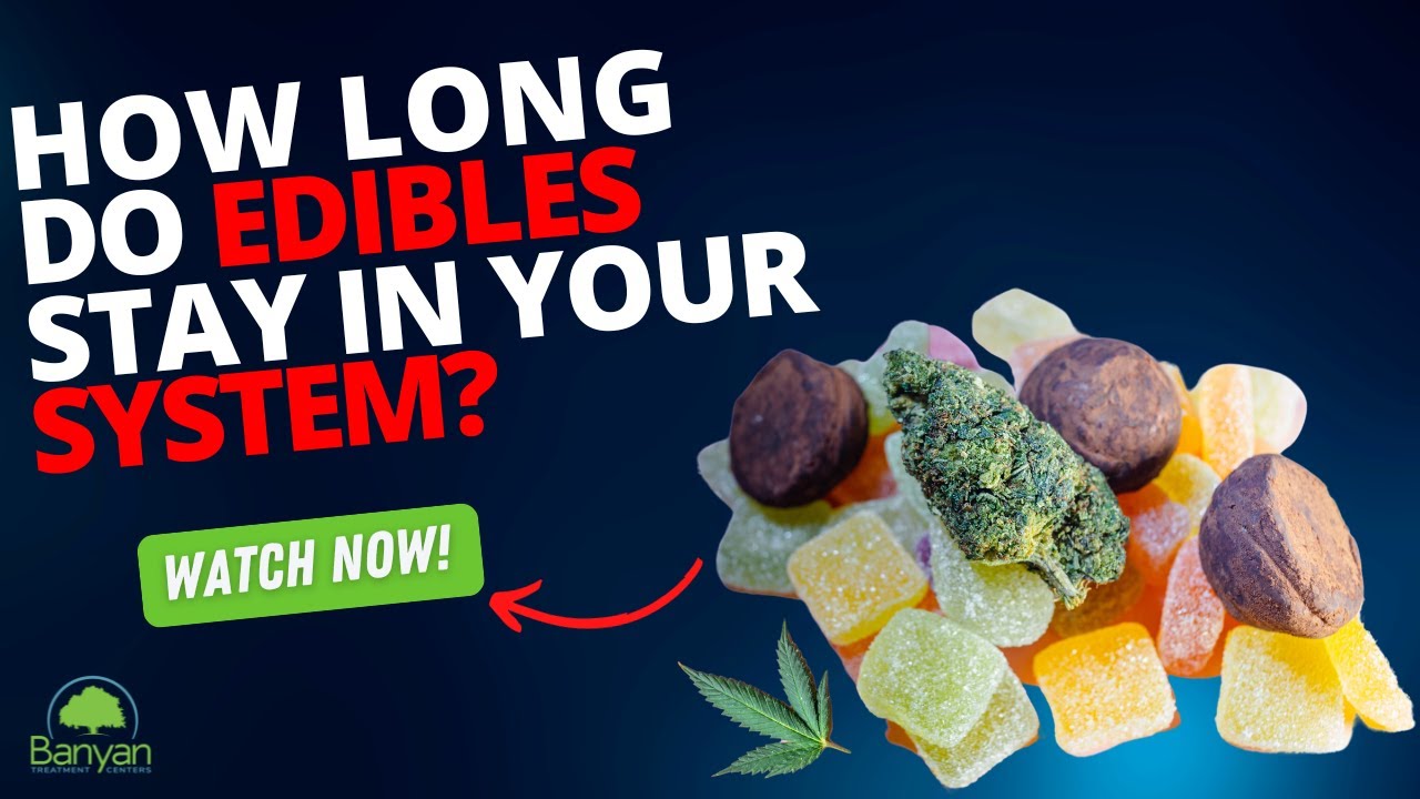 How Long Does 10mg Edible Stay In Your System Reddit